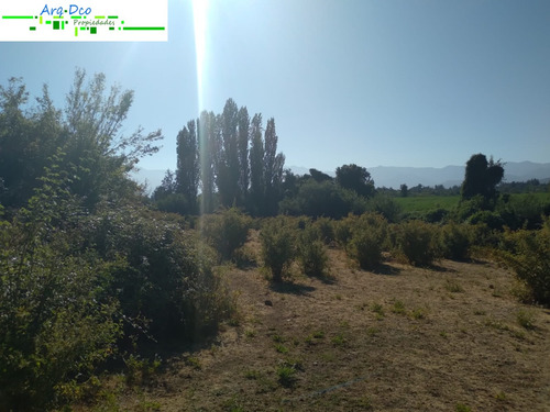 Vendo 4 Hectáreas San Clemente Con Rol Propio Talca