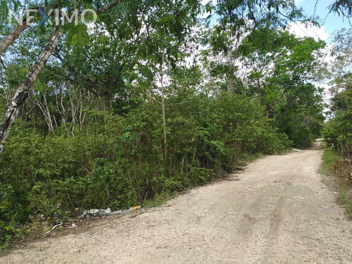 Imagen 6 de 6 de Venta Terreno 0 Ambiente Supermanzana 106