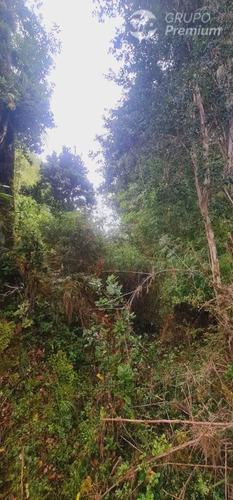 Parcela En Venta En Sector El Palomar , Ancud
