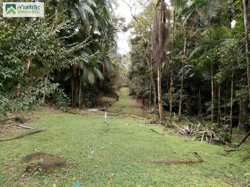 Imagem 20 de 30 de Chácara-para-venda-em-america-de-cima-morretes-pr - 175