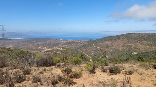 Se Vende Parcela De Agrado De 10.082m2 Pichicuy-huaquen Alto