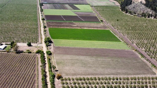 Las Peñas E 436 Llay-llay (65552)