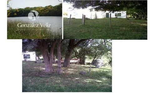 Imagen 5 de 5 de Venta/campo