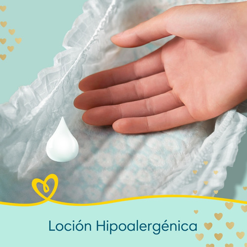 2 Paquetes De Pañales Pampers Premium Care Todas Las Tallas Género Sin género Tamaño Talla Grande:144 und
