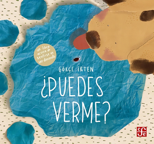 Puedes Verme ? - Gokce Irten - Pasta Dura - Nuevo
