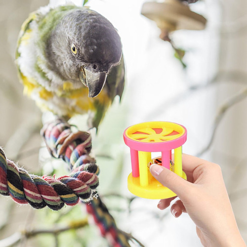 Bola De Entrenamiento Bird Ringing Ball Bird Supplies