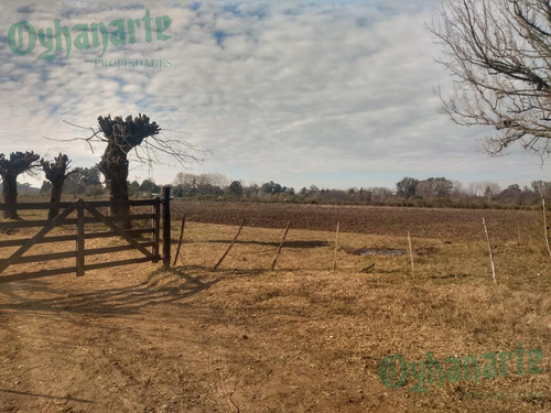 Imagen 2 de 21 de Venta De Campo De 23 Hectáreas En General Rodriguez.