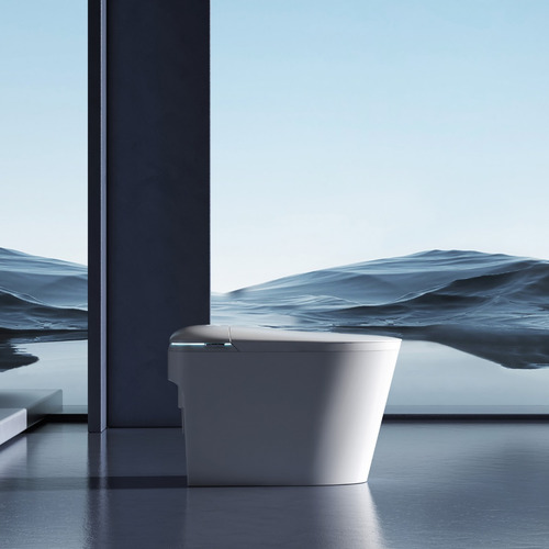 Vaso Sanitário Bacia Sanitária Multifuncional De Luxo Lemon Cor E11