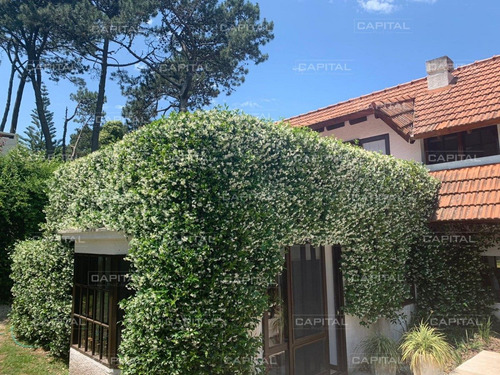 Casa De 5 Dormitorios En Playa Mansa Punta Del Este-ref:28553