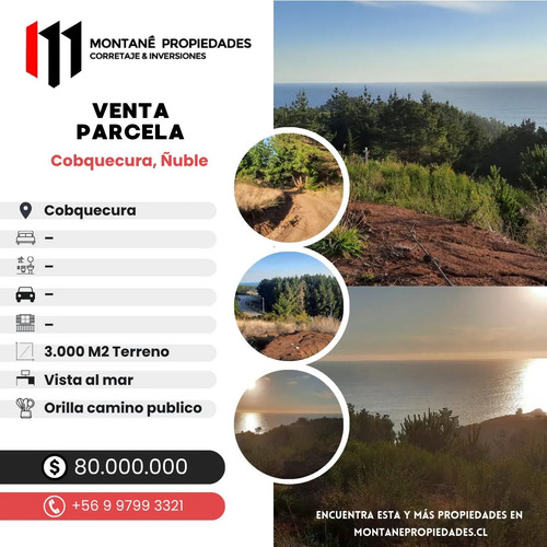 Parcela 3000 M2 En Venta Cobquecura