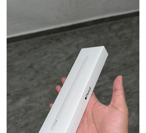 Apple Pencil 2a Gen Original (Usado)
