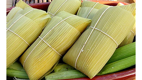 Milho Verde - Pamonheiro 2kg / Híbrido / Pamonha Silagem