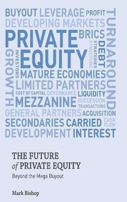 The Future Of Private Equity : Beyond The Mega Buy(hardback)