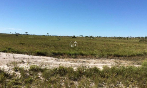 Imagem 15 de 20 de Fazenda Em Jalapão - 2648