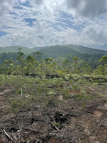 Imagem 27 de 30 de 01- Terrenos Com Aguá E Demarcados Com Moradores Já Construindo No Local !