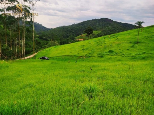 Imagem 15 de 29 de Sítio Em Santa Isabel -sp