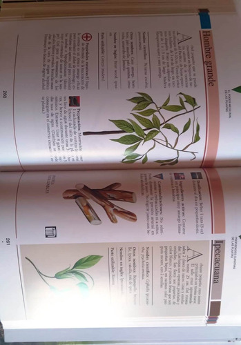 El Poder Medicinal De Las Plantas. Dr. Reinaldo Sosa Gómez.
