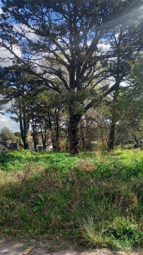 Terreno En Venta En Sierra De Los Padres