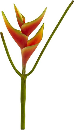 Nearly 2204 S6 14 Heliconia Flores Planta Juego 6 Naranja