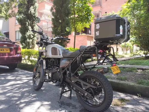 Royal Himalayan En Un Exce Estado Único Dueño De Agencia