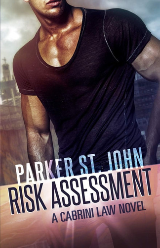 Libro:  Risk Assessment: A Cabrini Law Novel