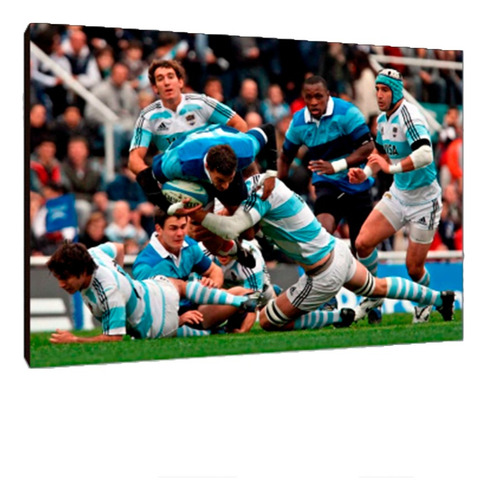 Cuadros Poster Deportes Rugby Pumas S 15x20 (pms (6))