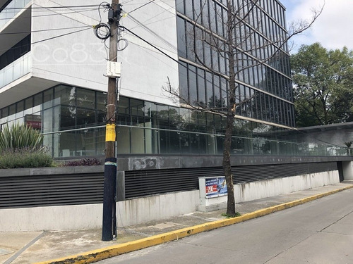 Imagen 8 de 12 de Renta - Local De Servicios - Corporativo Vista Hermosa - 144
