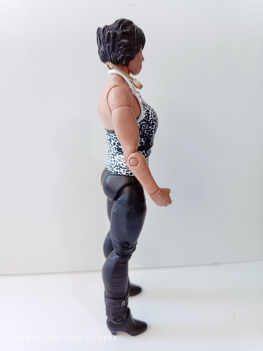 Vickie Guerrero Wwe Serie 13 Mattel 2011 (Usado)