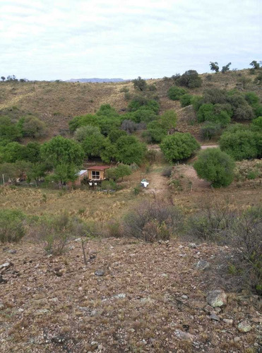 Terreno En Venta En Siete Cajones, El Trapiche San Luis