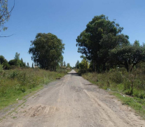 Terrenos En Venta - 850mts2 - El Molino, Pavón