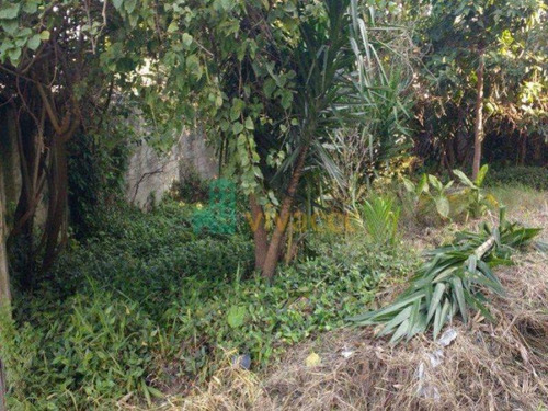 Imagem 5 de 12 de Terreno - Jardim Pedro Jose Nunes - Ref: 2090 - V-te0021