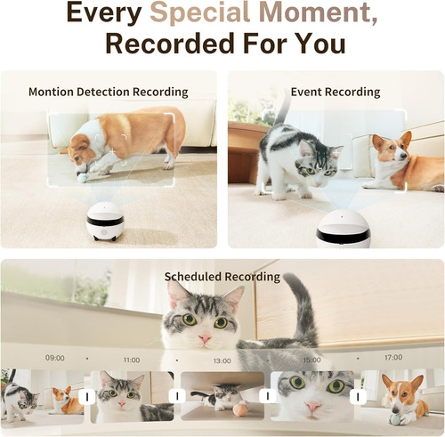 Camara Enabot Rola Mini 2k Qhd Companion Robot Para Mascotas Blanco
