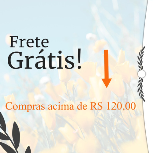 Aromatizador Premium 60 Ml