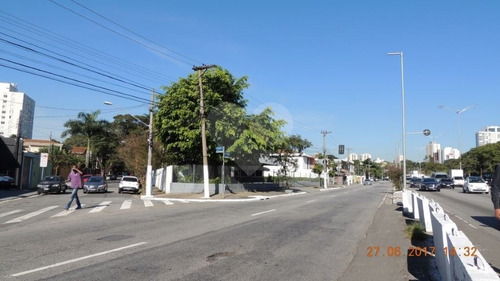 Terreno Comercial Zcor Fantástica Localização E Grande Apelo Comercial - 375-im250480