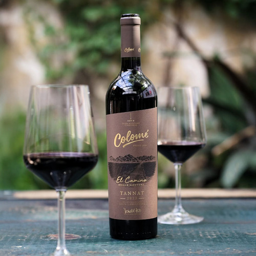 Vino Colomé El Camino Single Vineyard Tannat 750 Ml