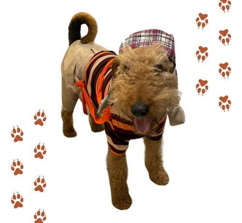 Disfraz Chavo Del 8 Para Mascotas | Ropa Para Perros Grandes