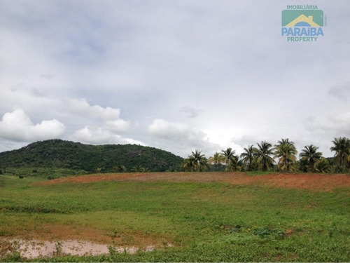 Imagem 3 de 5 de Terreno À Venda - Pirpirituba - Pb. - Te0058