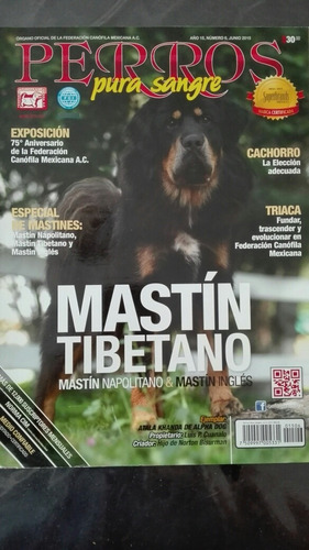 Revista Perros De Pura Sangre De La Fcm