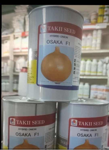 Semilla De Cebolla Takii Osaka