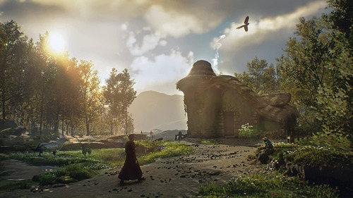 Hogwarts Digital Deluxe Edition Warner Bros. Ps4 Físico