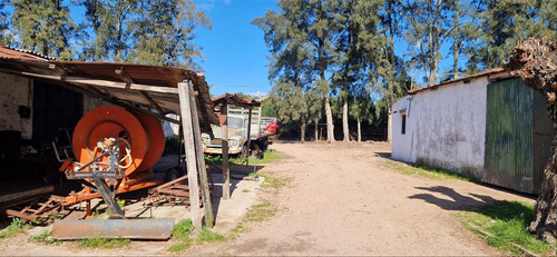 Venta Chacra 28 Ha Abayuba Arroyo Y 2 Tajamares C.rigel
