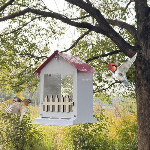 Comedero For Pájaros Colgante, Dispensador De Comida Para