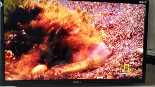 Imagen 8 de 9 de Vendo Pantalla Tv 40 Pugadas Sony,para Repuesto O Reparar
