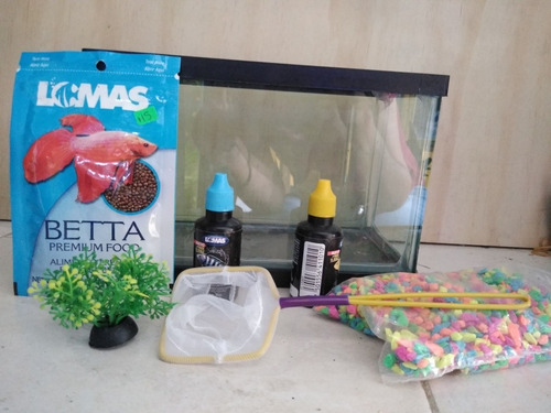 Pecera Equipada Para Betta Kit Betta 