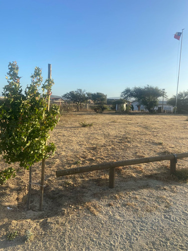 Limache Se Vende Parcela De 5000 Mts2