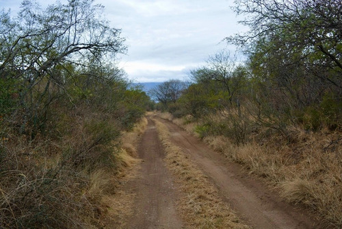 Hectareas En Cañada La Negra