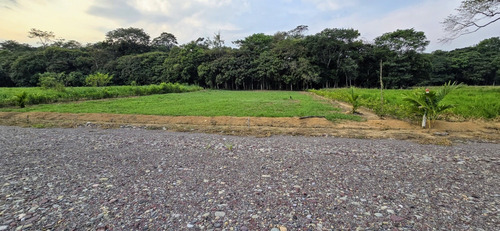 Vendo Lotes En Parcelacion Con Portería De 700 M2 A 2100 M2