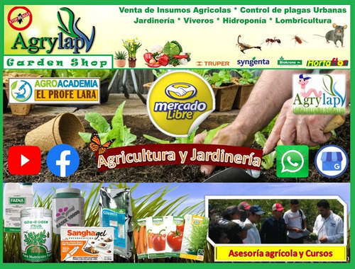 1 Lt Movento Insecticida Spirotetramat