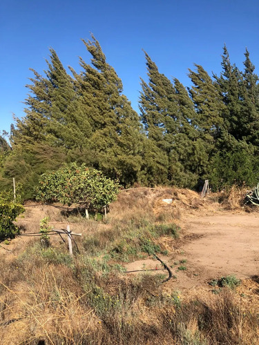 Parcela Con Plantación De Nogales. Tu Refugio Campestre.