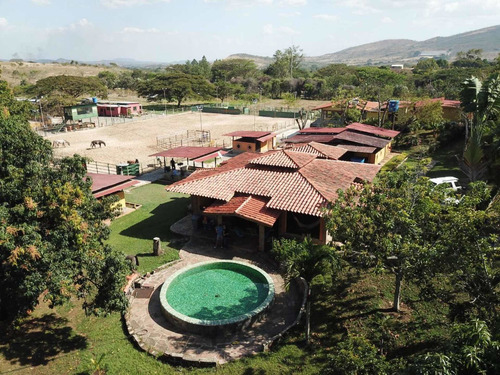 Imagen 16 de 20 de Pieranyela Rodríguez. Finca En Tinaquillo C 1747